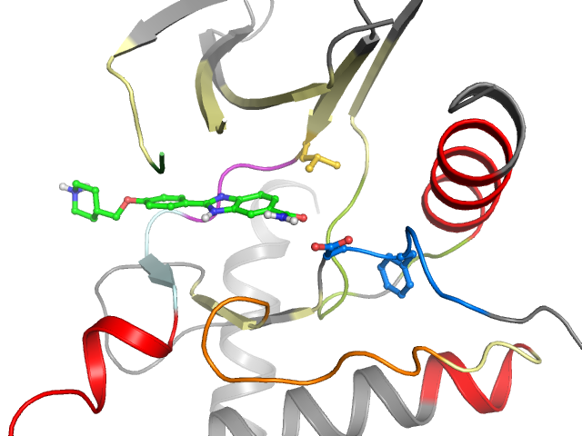 The orthosteric binding pocket
