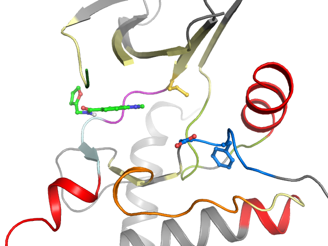 The orthosteric binding pocket