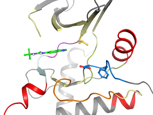 The orthosteric binding pocket