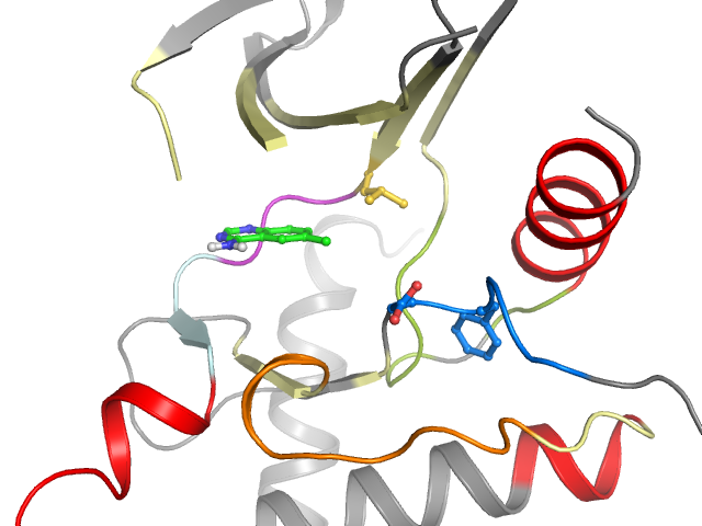 The orthosteric binding pocket