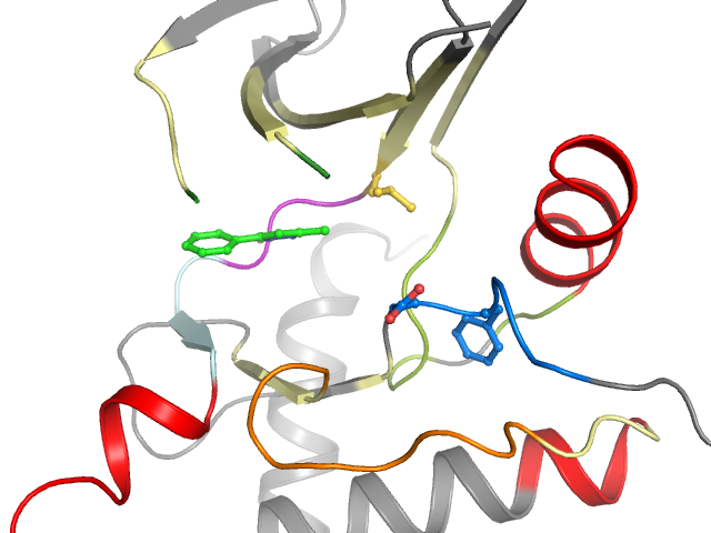 The orthosteric binding pocket