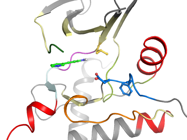 The orthosteric binding pocket