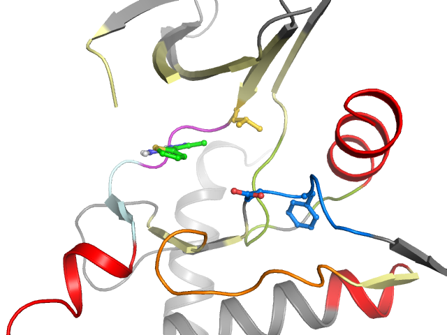 The orthosteric binding pocket
