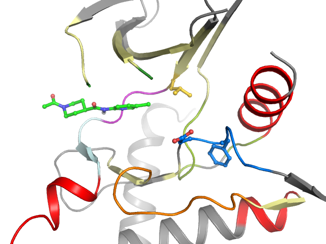 The orthosteric binding pocket
