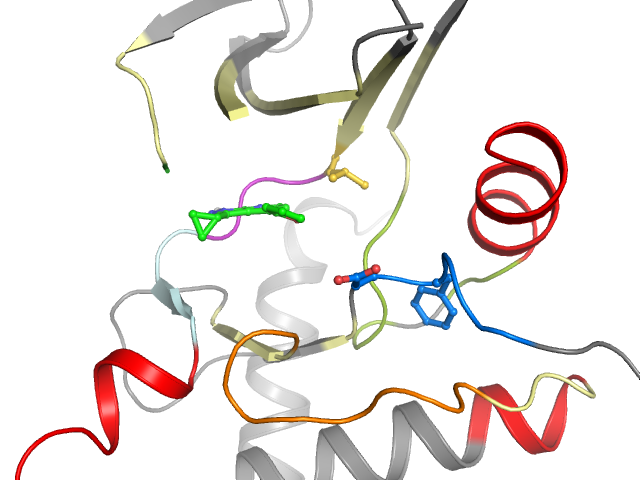 The orthosteric binding pocket