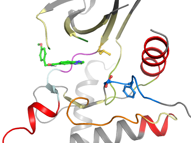 The orthosteric binding pocket