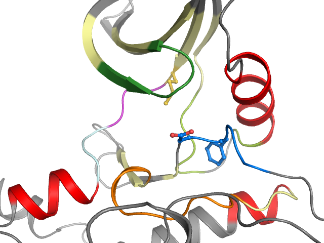 The orthosteric binding pocket