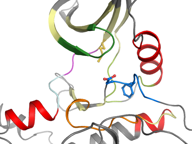 The orthosteric binding pocket