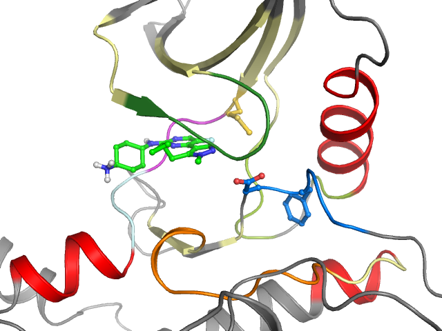 The orthosteric binding pocket