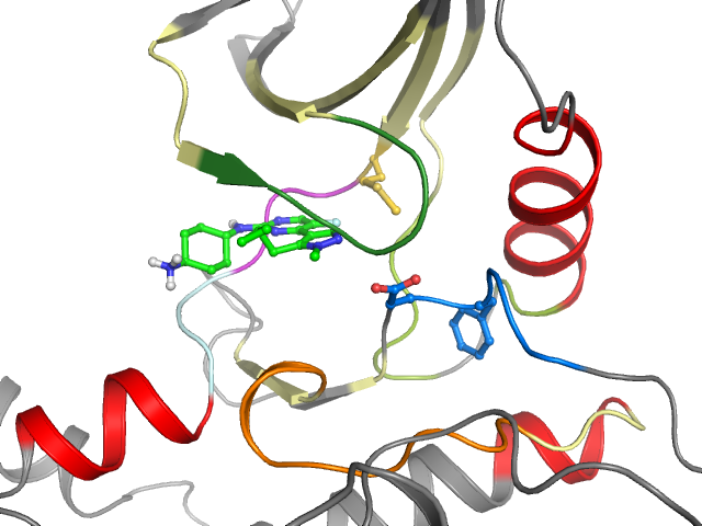 The orthosteric binding pocket