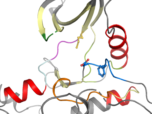 The orthosteric binding pocket