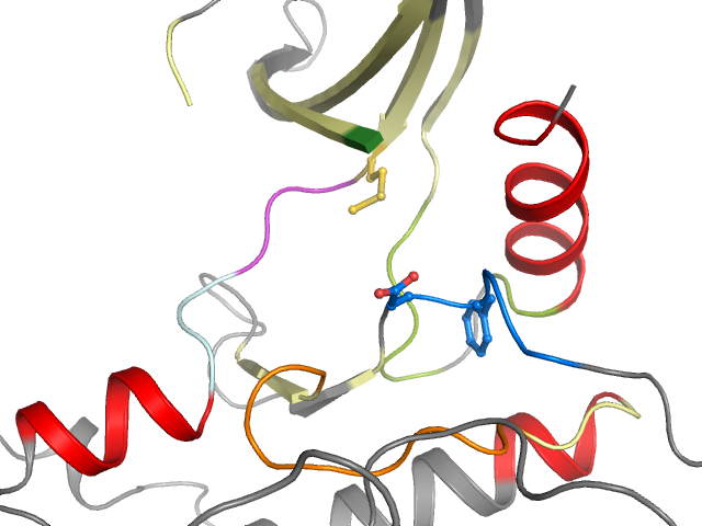 The orthosteric binding pocket