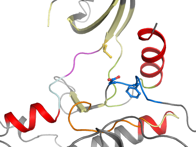 The orthosteric binding pocket