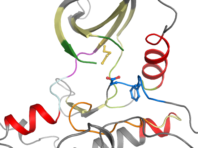 The orthosteric binding pocket