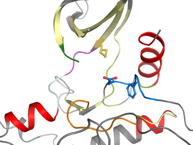 The orthosteric binding pocket