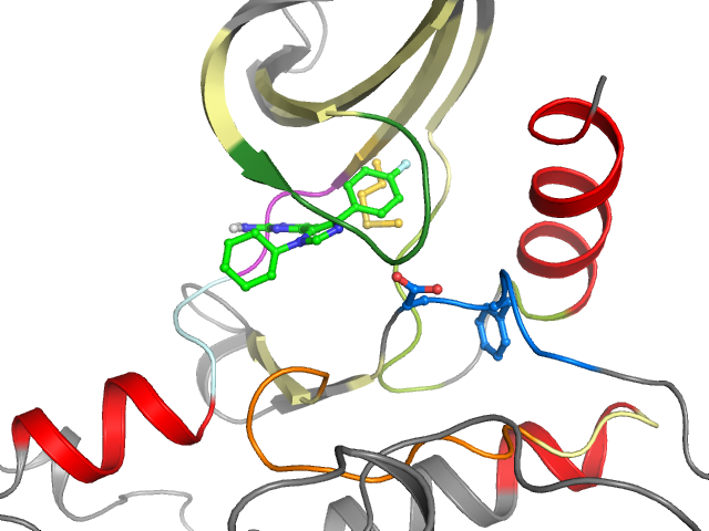 The orthosteric binding pocket