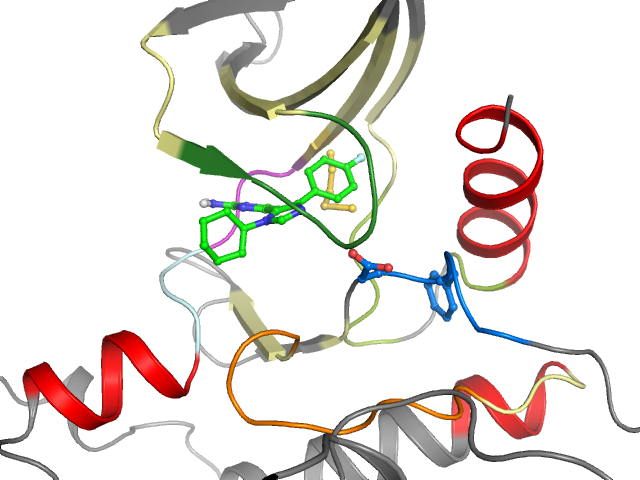 The orthosteric binding pocket
