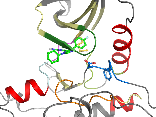 The orthosteric binding pocket