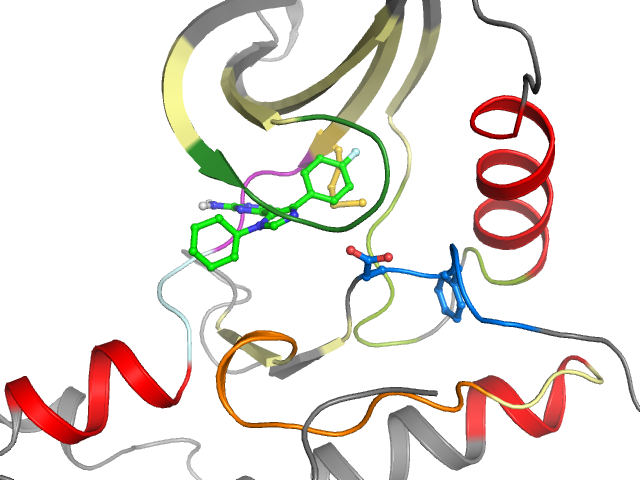 The orthosteric binding pocket