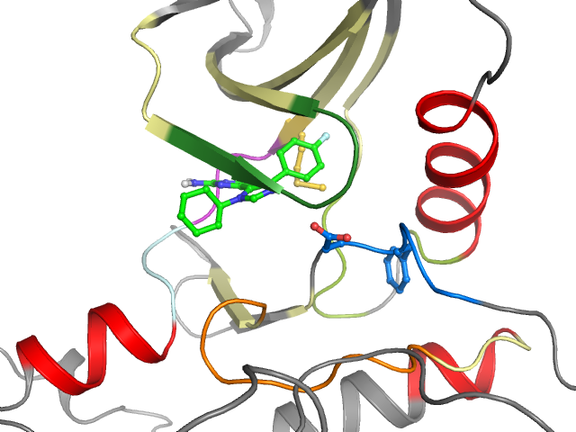 The orthosteric binding pocket