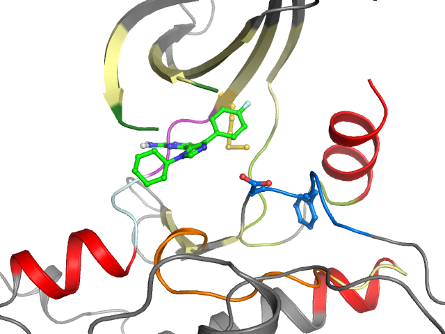 The orthosteric binding pocket