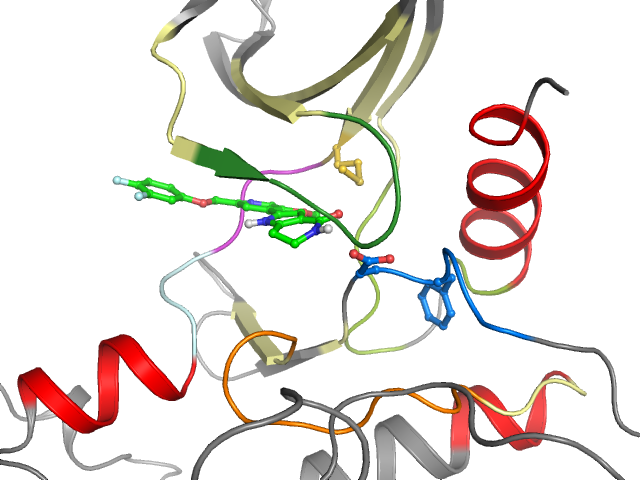 The orthosteric binding pocket