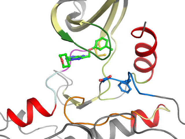 The orthosteric binding pocket