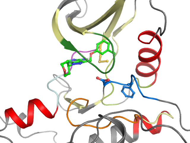 The orthosteric binding pocket
