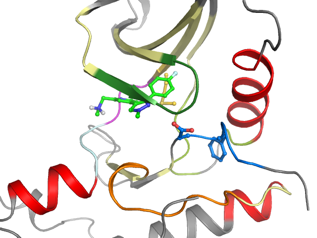 The orthosteric binding pocket