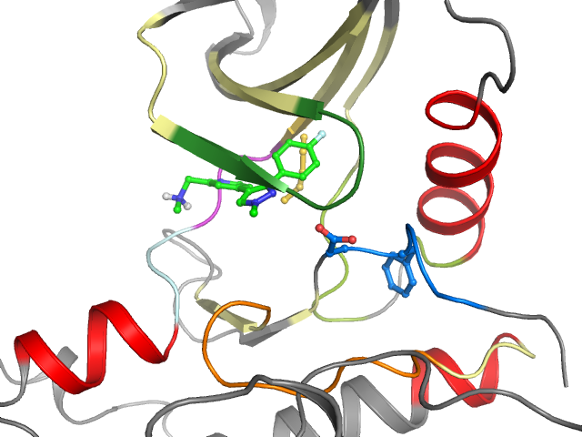 The orthosteric binding pocket