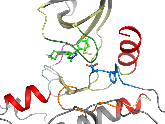 The orthosteric binding pocket
