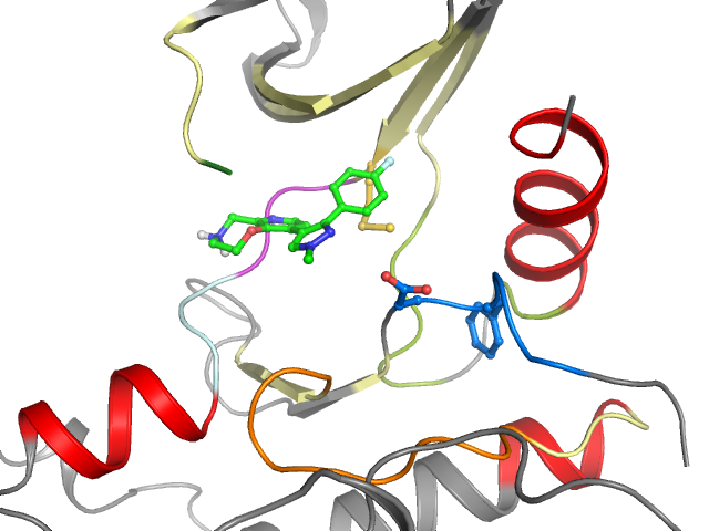 The orthosteric binding pocket