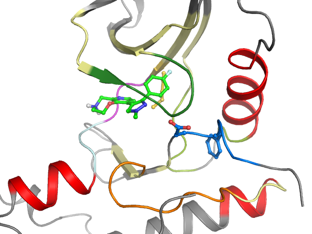 The orthosteric binding pocket