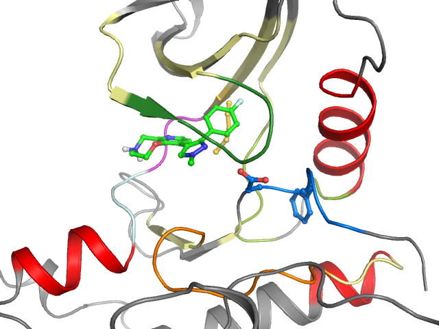 The orthosteric binding pocket