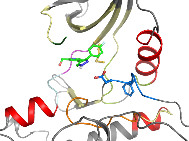 The orthosteric binding pocket
