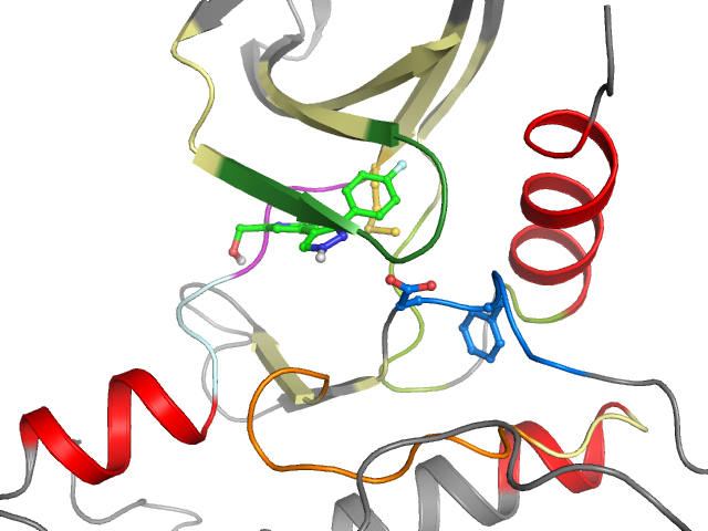 The orthosteric binding pocket