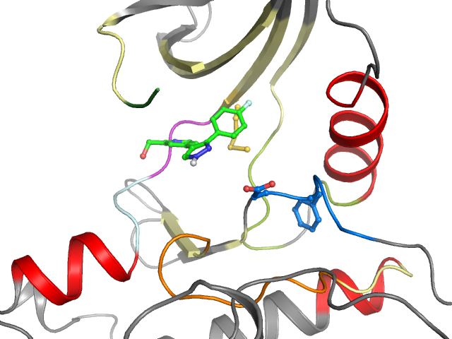 The orthosteric binding pocket