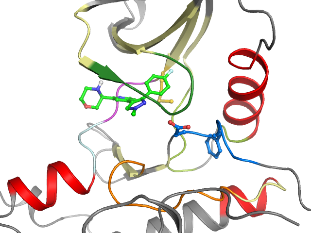 The orthosteric binding pocket