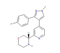 2D structure of the orthosteric ligand