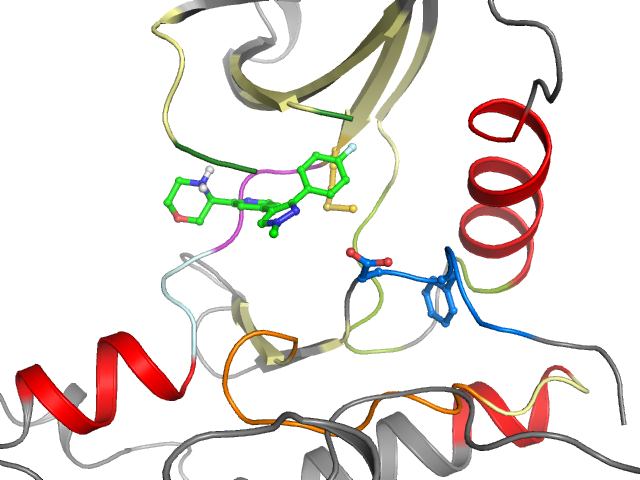 The orthosteric binding pocket