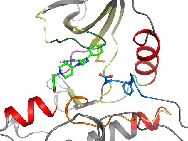 The orthosteric binding pocket