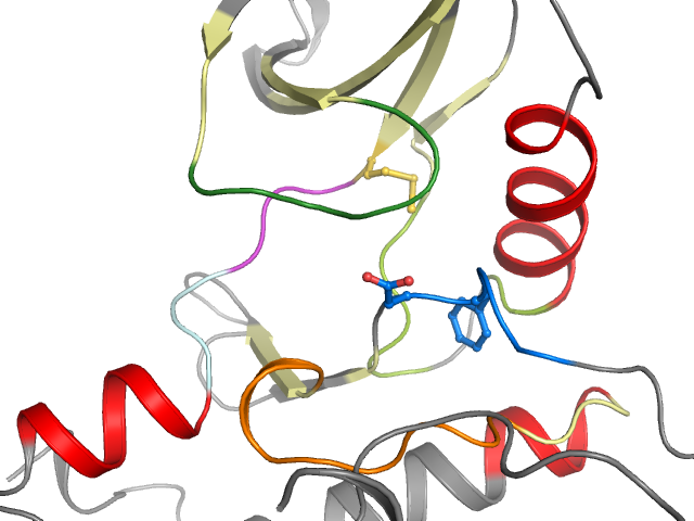 The orthosteric binding pocket