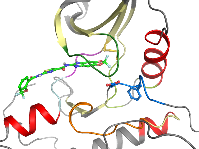 The orthosteric binding pocket