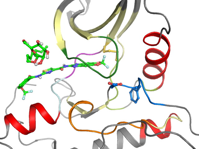 The orthosteric binding pocket