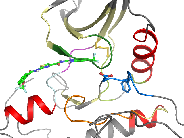 The orthosteric binding pocket