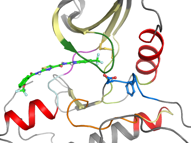 The orthosteric binding pocket