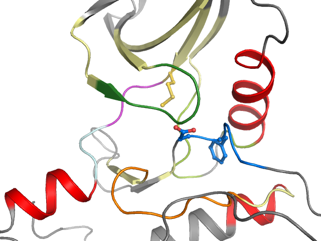 The orthosteric binding pocket