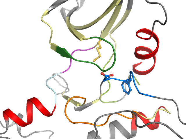 The orthosteric binding pocket