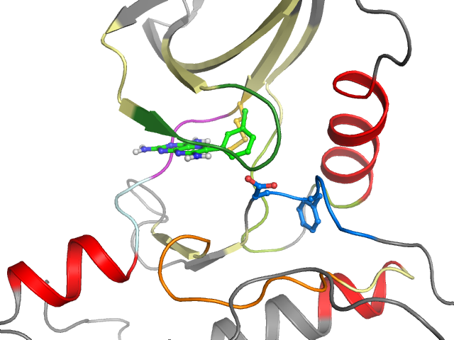 The orthosteric binding pocket