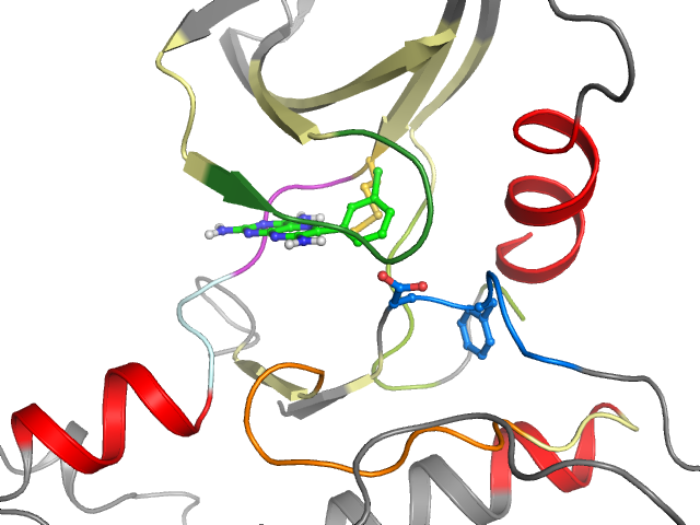 The orthosteric binding pocket